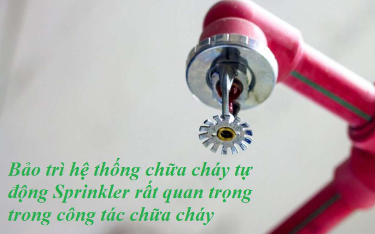 Hệ thống PCCC tự động sprinkler